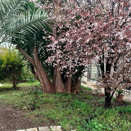 Giardino A Mare Daire Bari Dış mekan fotoğraf