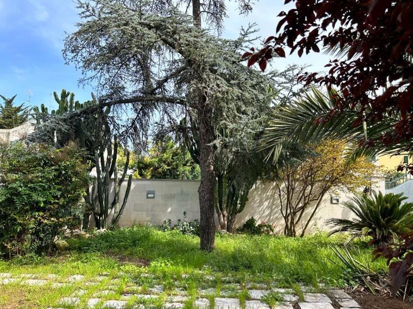 Giardino A Mare Daire Bari Dış mekan fotoğraf
