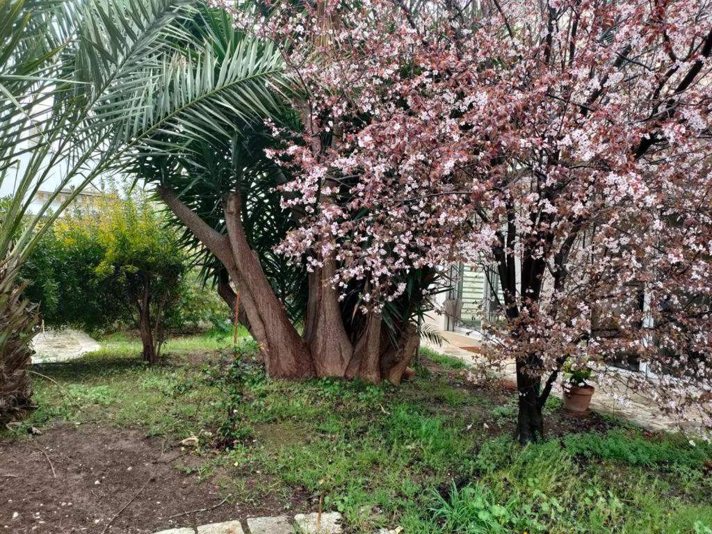 Giardino A Mare Daire Bari Dış mekan fotoğraf